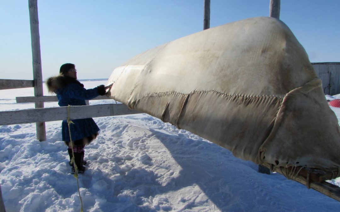 God is Moving in the Arctic